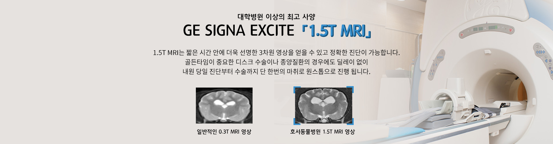 배너1